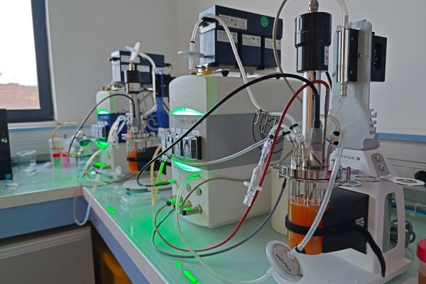 Les bior&eacute;acteurs/fermenteurs Applikon (250 mL et 1L) de paillasse de Getinge mis &agrave; disposition par Ferments du Futur et localis&eacute; &agrave; l&rsquo;INRAE d&rsquo;Aurillac