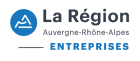 Logo Agence Auvergne-Rhône-Alpes-Entreprises