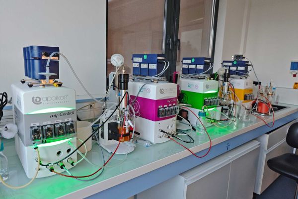 4 bior&eacute;acteurs 250 mL et 1 bior&eacute;acteur 1L ; permet de tester plusieurs conditions/param&egrave;tres en m&ecirc;me temps.