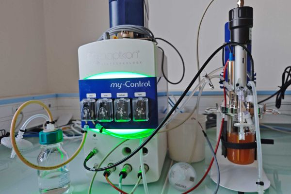 4 bioréacteurs 250 mL et 1 bioréacteur 1L ; permet de tester plusieurs conditions/paramètres en même temps.