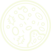 L'analyse de microorganismes sur Biotyper Maldi TOF